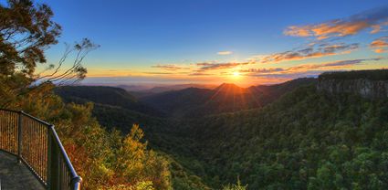 Canyon Lookout - Springbrook National Park - QLD T (PB5D 00 3906)